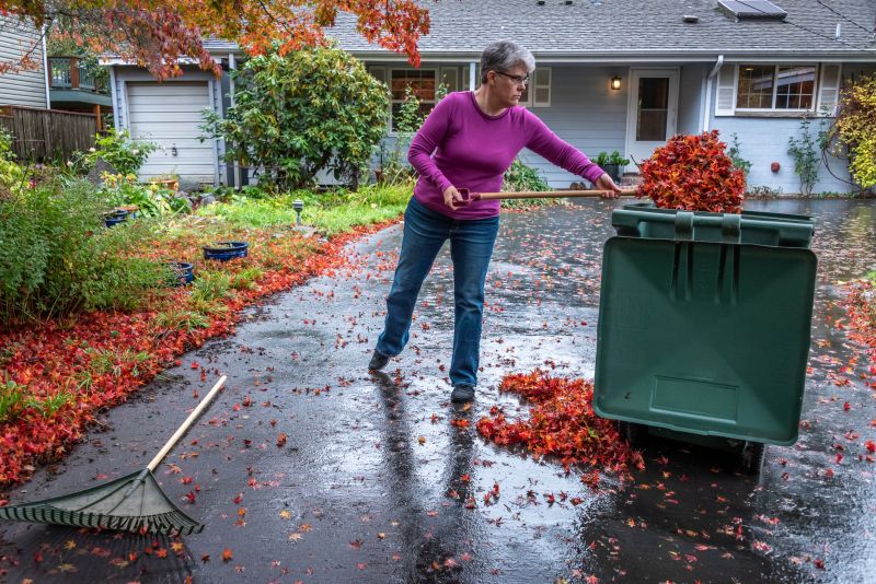Fall Leaf Removal Image 2
