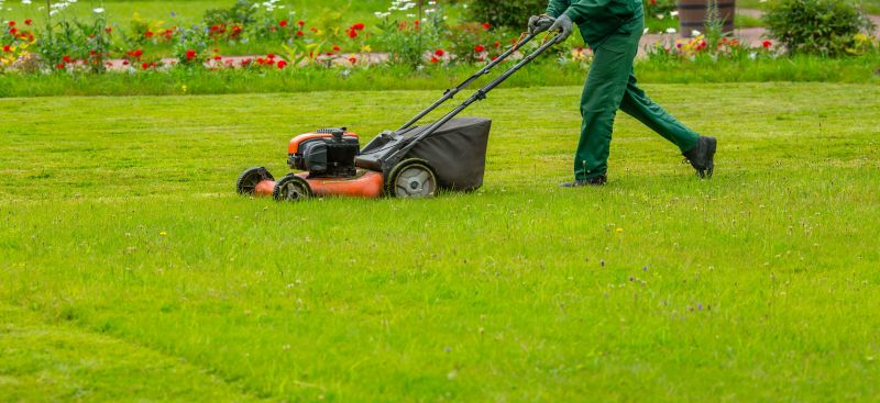 Commercial Lawn Maintenance