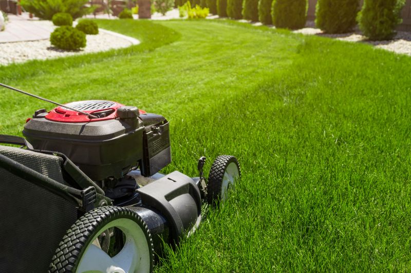 Summer Mowing Maintenance