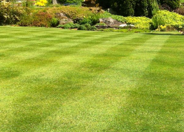 Commercial Grass Cutting in Carlisle