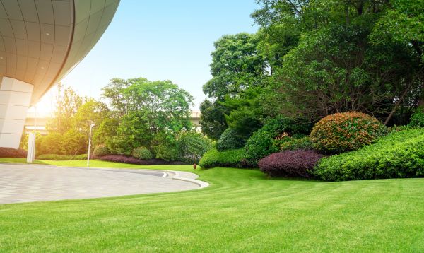 Commercial Lawn Mowing in Carlisle