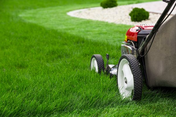 Lawn Cutting Service in Carlisle