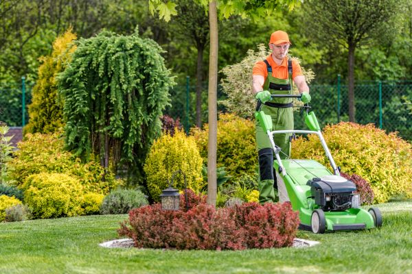 Yard Service in Carlisle