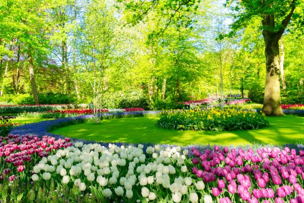 Spring Lawn Care in Carlisle