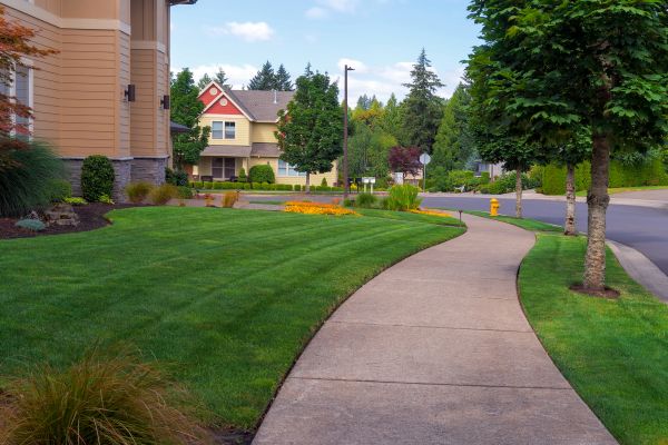 Home Lawn Maintenance in Carlisle