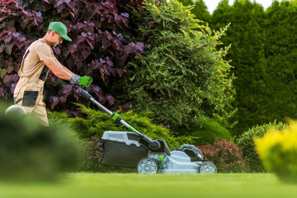 Lawn Management in Carlisle