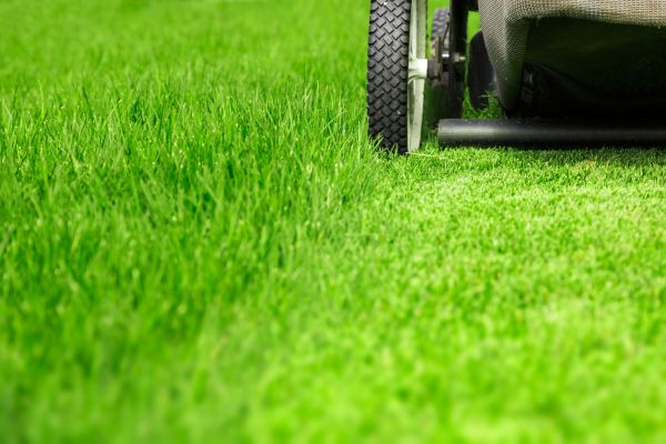 Weekly Lawn Care in Carlisle