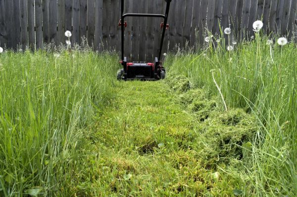 High Grass Mowing in Carlisle