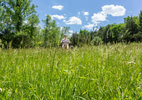Long Grass Mowing in Carlisle