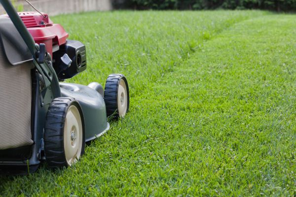 Summer Lawn Care in Carlisle