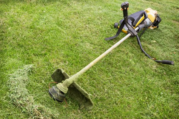 Hillside Weed Whacking in Carlisle