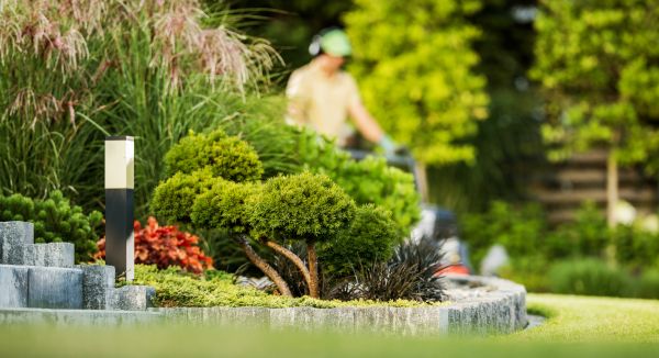 Residential Yard Maintenance in Carlisle