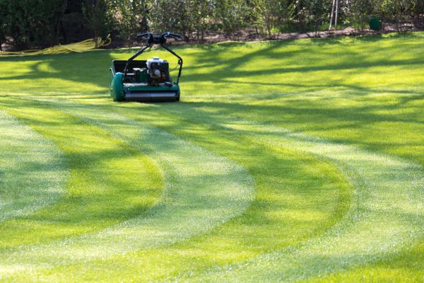 Business Lawn Mowing in Carlisle