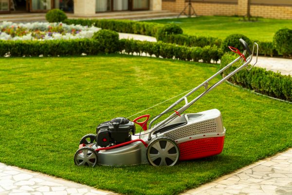 Business Grass Cutting in Carlisle