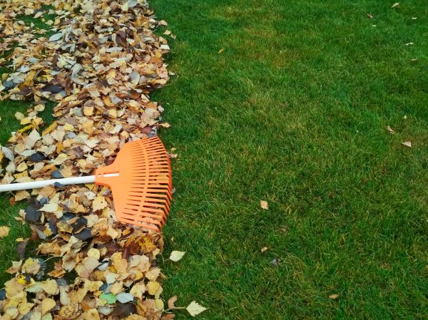 Fall Lawn Care in Carlisle