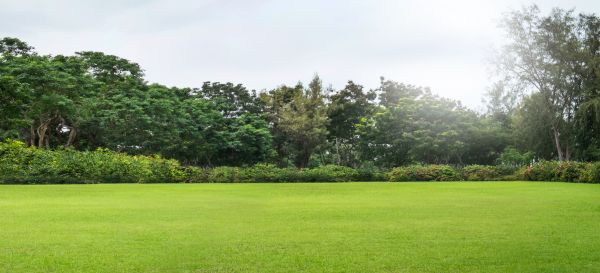 Golf Course Mowing in Carlisle