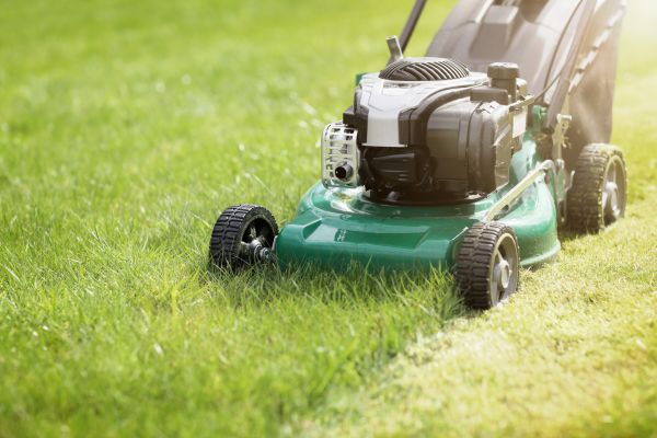 Spring Grass Trimming in Carlisle