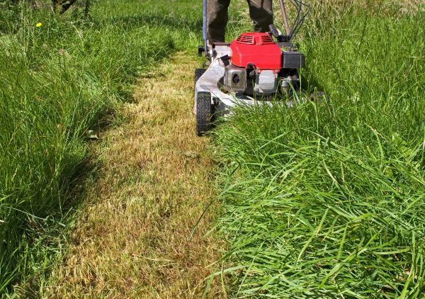 Leaf Mowing in Carlisle